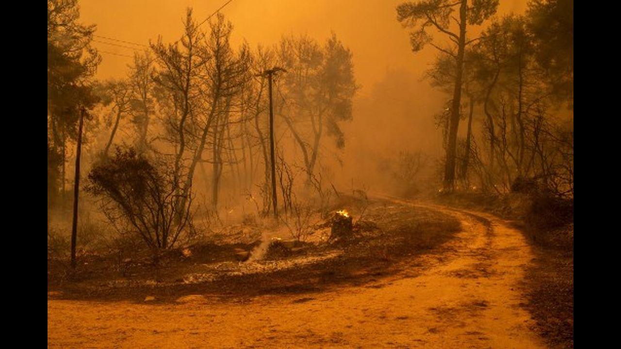 Smoke rises from smouldering trees as forest fires approach the village of Pefki.